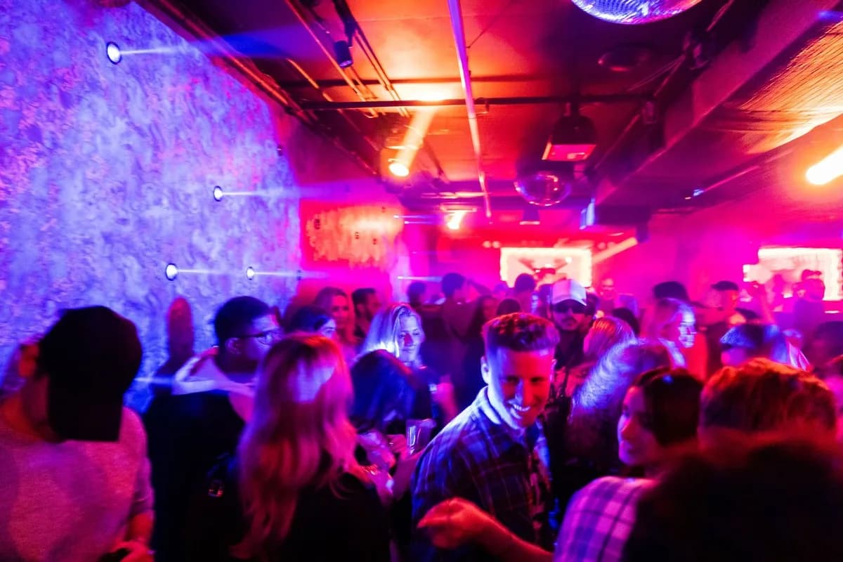 Virgo crowd